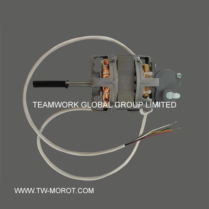 Special Vertical Fan Motor
