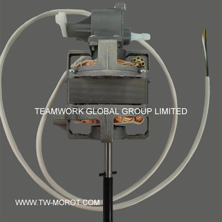 Special Vertical Fan Motor
